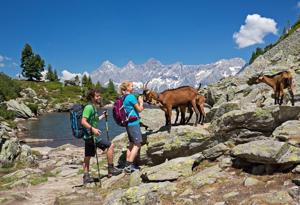 Appartement Alpenglueck Aich  Luaran gambar